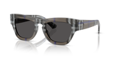 Check Lichen / Dark Grey (414787)