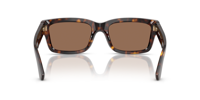 Burberry BE4443 in Dark Havana / Dark Brown (300273) - Alternate View