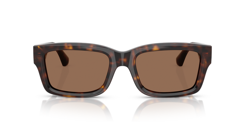Burberry BE4443 in Dark Havana / Dark Brown (300273) - Alternate View
