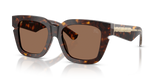 Dark Havana / Dark Brown (300273)