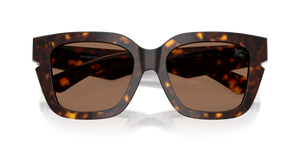 Dark Havana / Dark Brown (300273)