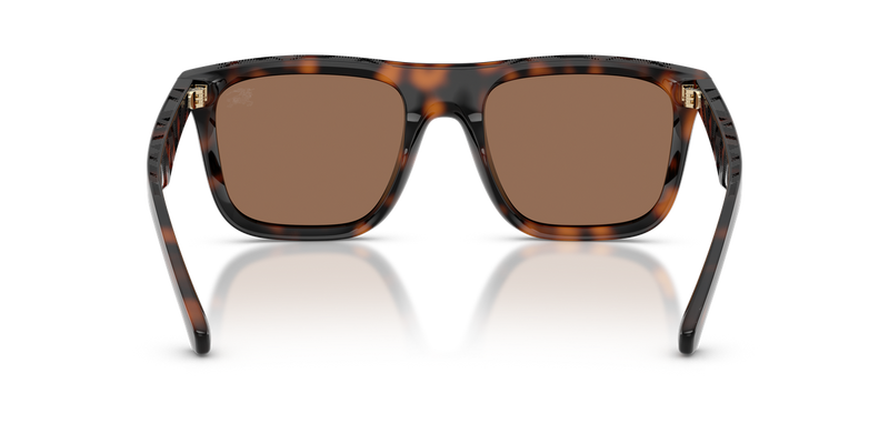 Burberry BE4458U in Dark Havana / Dark Brown (300273) - Temple Detail