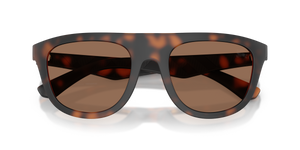 Matte Dark Havana / Dark Brown (353673)