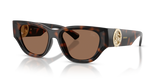 Dark Havana / Dark Brown (300273)
