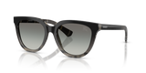 Grey Check / Grey Gradient (420011)