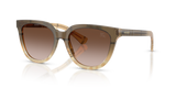 Check Beige / Brown Gradient (420113)