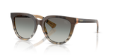 Check Sand / Grey Gradient (420211)