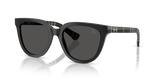 Grey / Dark Grey (427087)