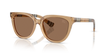 Beige / Dark Brown (416473)