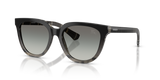 Grey Check / Grey Gradient (420011)