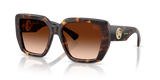 Dark Havana / Brown Gradient (300274)