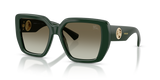 Green / Green Gradient (42038E)