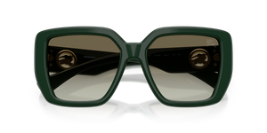 Green / Green Gradient (42038E)
