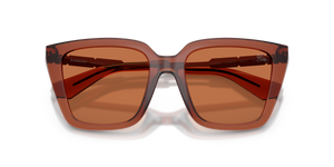 Brown (419573)