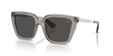 Grey / Dark Grey (419787)