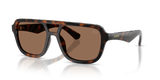 Dark Havana / Dark Brown (300273)