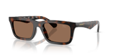 Dark Havana / Dark Brown (300273)