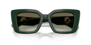 Green / Green Gradient (42038E)