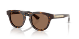 Dark Havana / Dark Brown (420573)