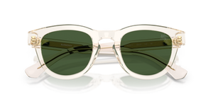 Yellow / Dark Green (420971)