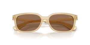 Yellow / Dark Brown (419873)