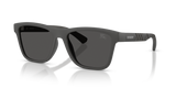 Matte Grey / Dark Grey (423387)
