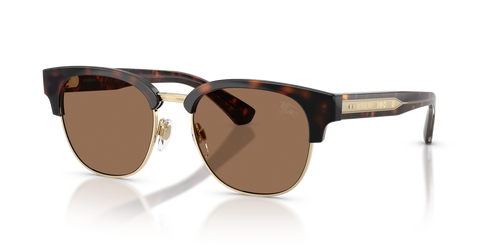 Dark Havana / Dark Brown (420573)