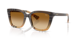 Check Gradient Sand / Brown Gradient (420213)
