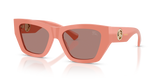 Pink / Light Brown (421973)
