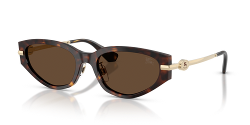 Dark Havana / Dark Brown (300273)