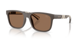 Matte Brown / Dark Brown (423473)