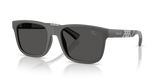 Matte Grey / Dark Grey (426487)
