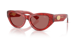 Bordeaux Havana / Dark Violet (425769)