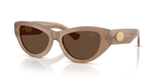 Beige / Dark Brown (425873)
