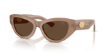 Beige / Dark Brown (425873)