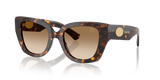 Dark Havana / Brown Gradient (300289)