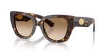 Dark Havana / Brown Gradient (300289)