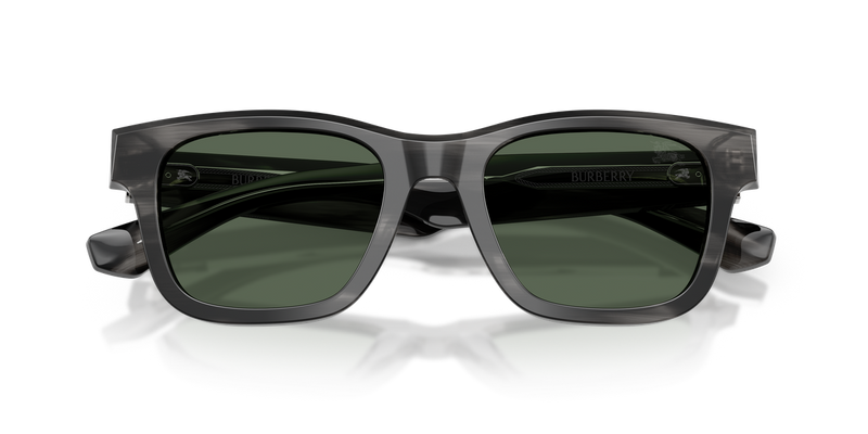 Burberry BE4504F in Striped Green - Alternate View