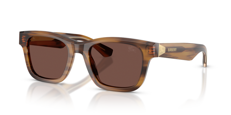 Burberry BE4504 in Striped Brown - Alternate View
