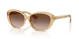 Yellow / Brown Gradient (416713)