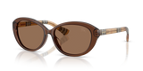 Brown / Dark Brown (424373)