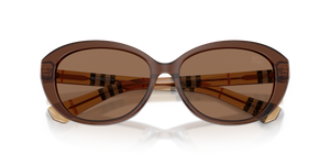 Brown / Dark Brown (424373)