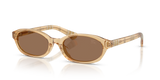 Yellow / Dark Brown (416773)