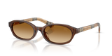 Brown / Brown Gradient (424313)