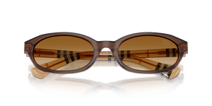 Brown / Brown Gradient (424313)
