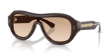 Brown / Brown Gradient (42748D)