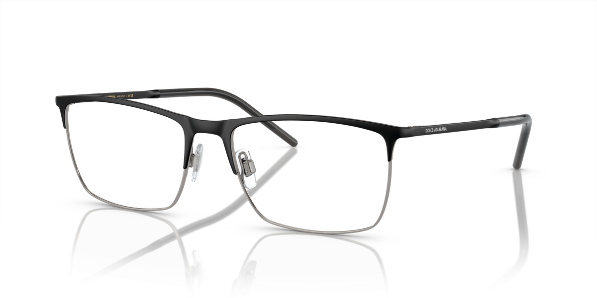 Dolce & Gabbana DG1309