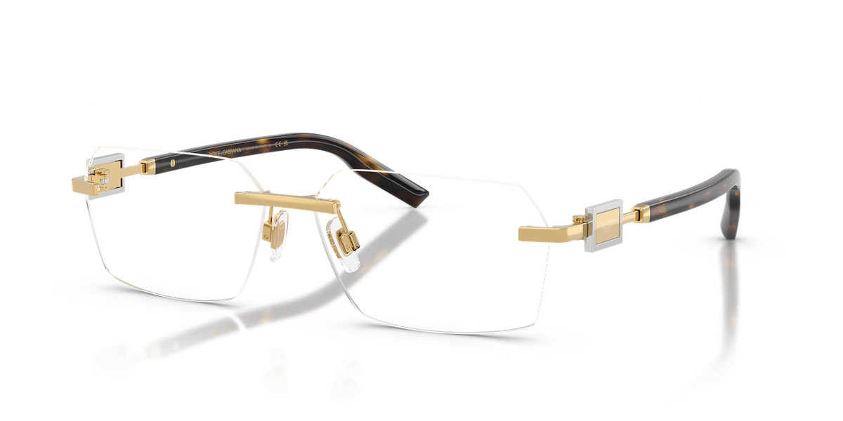 Dolce & Gabbana DG1361