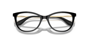 Black / Demo Lens (501)