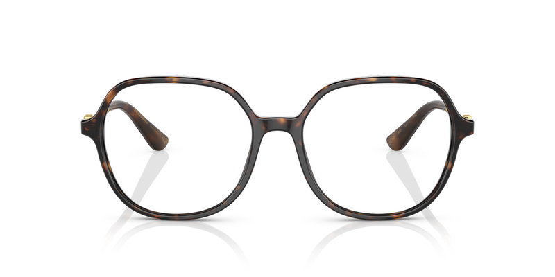 Dolce & Gabbana DG3364 in Havana / Demo Lens (502) - Alternate View